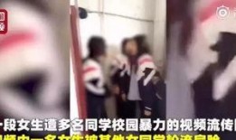 执行官少女爆料视频,执行官少女爆料视频背后的惊人真相